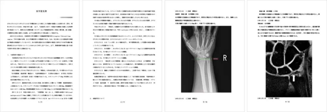 医学意見書（訴訟用）のイメージ画像